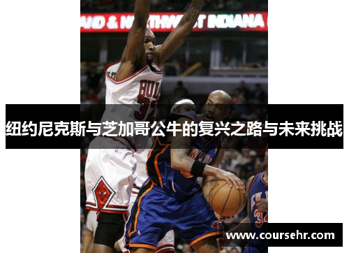 纽约尼克斯与芝加哥公牛的复兴之路与未来挑战