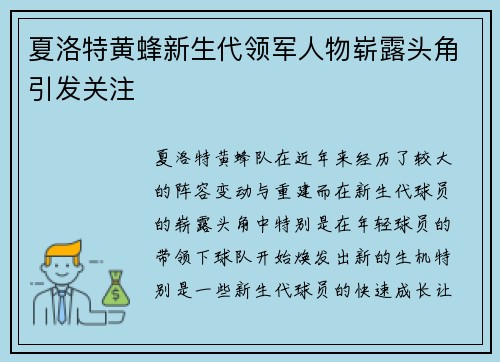 夏洛特黄蜂新生代领军人物崭露头角引发关注