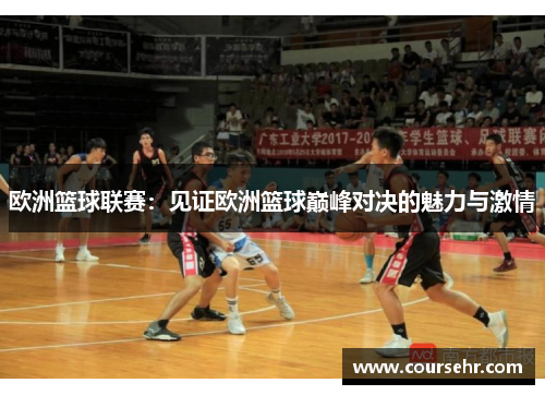 欧洲篮球联赛：见证欧洲篮球巅峰对决的魅力与激情