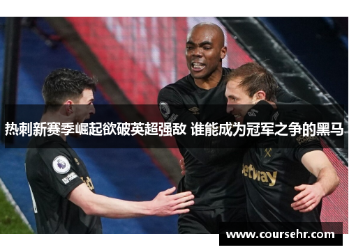 热刺新赛季崛起欲破英超强敌 谁能成为冠军之争的黑马